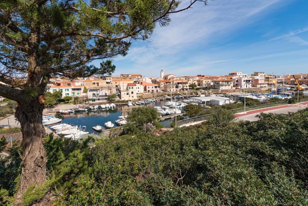 La Lampara - Casa Panoramica 4 Km Dalla Pelosa Stintino Exteriér fotografie